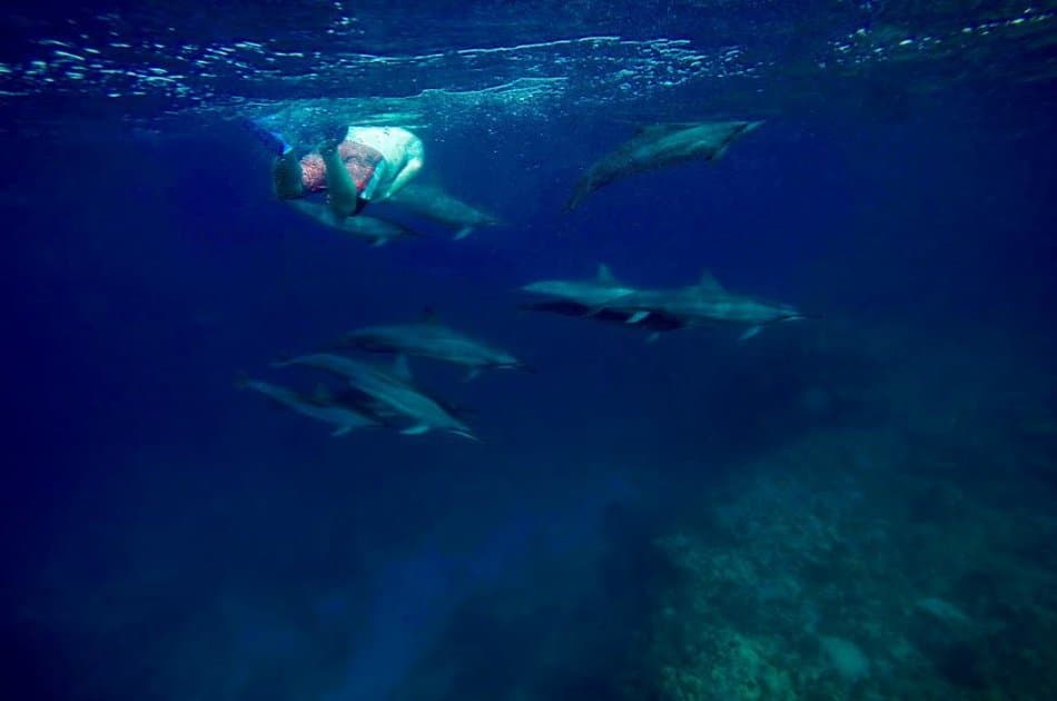 Private Ocean Excursion Charter in Kona, Hawaii