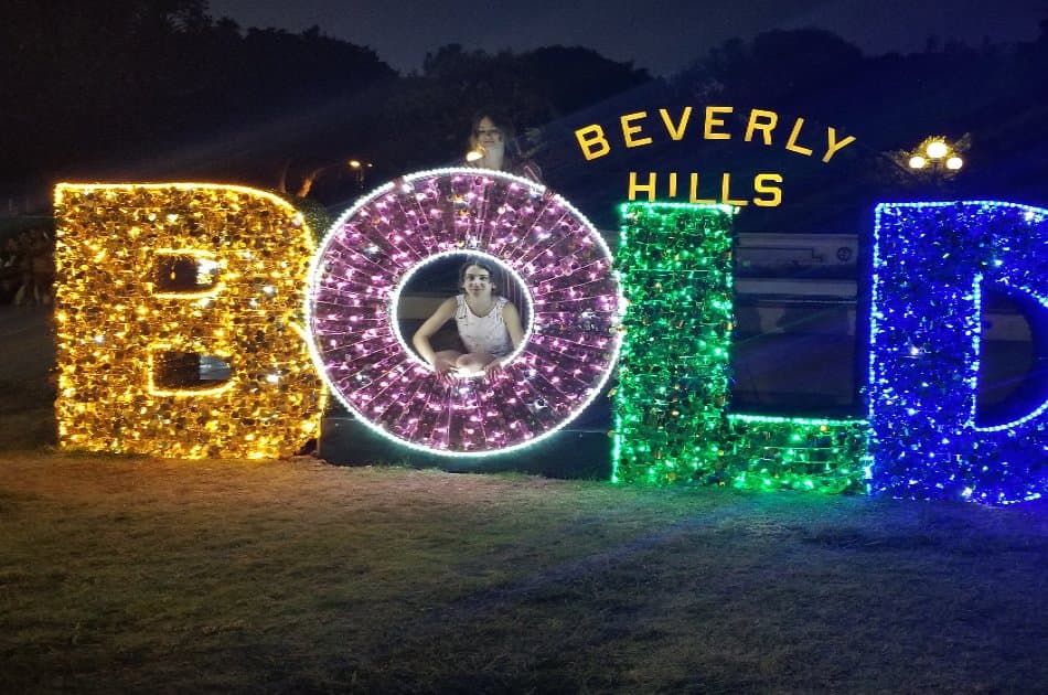 VIP Los Angeles Tour