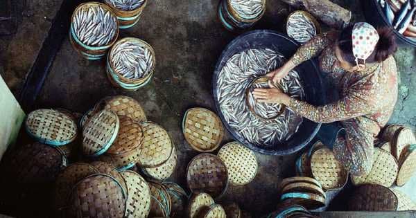 Half Day Bike Tour to Cam Thanh Village