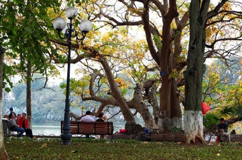 Hanoi City Tour Full Day