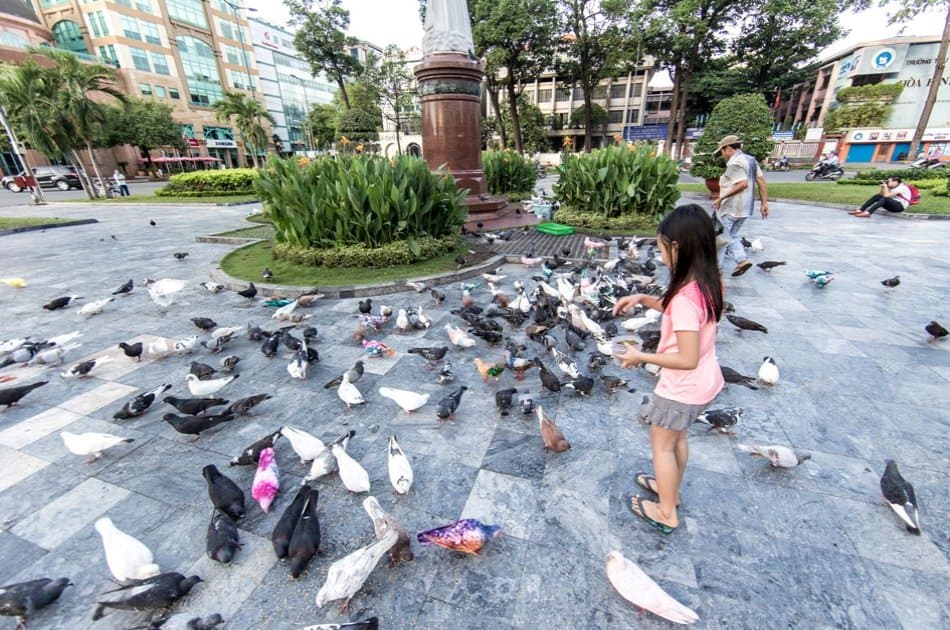 Ho Chi Minh City Historical Discovery