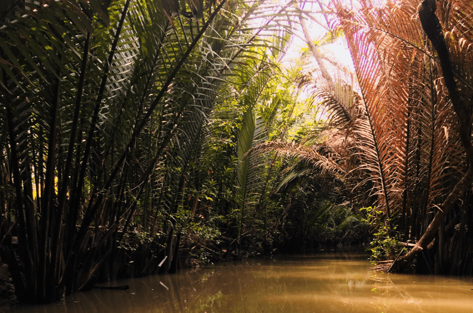 Mekong Delta - Rural Life Tour