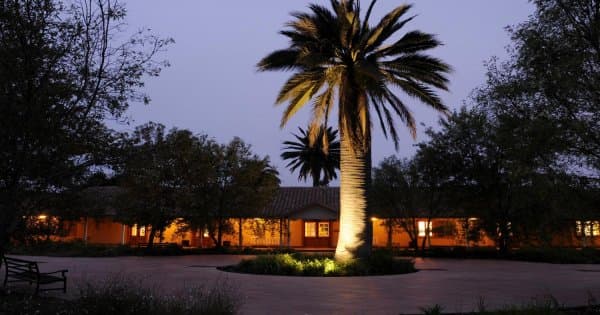 Casablanca Valley: Visit and taste the flavours of wines at the Matetic Vineyards