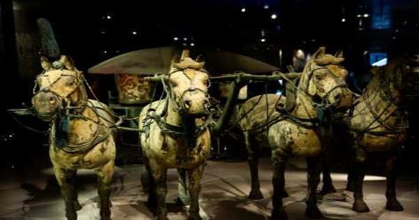 Xian Layover Private Tour of Terracotta Warriors