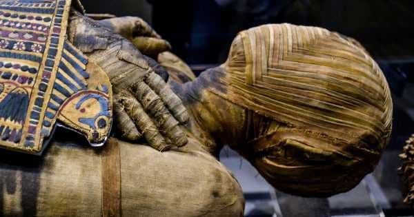 Day Tour to the Egyptian Museum