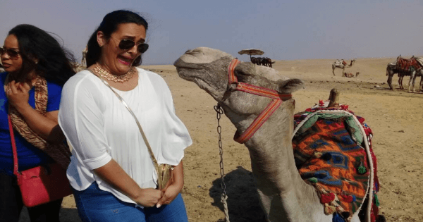 From Cairo: Private Trip to Giza Pyramids and Sphinx + Lunch