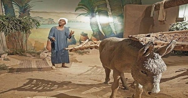 Private Day Tour: Kalabsha Temple & Nubian Museum