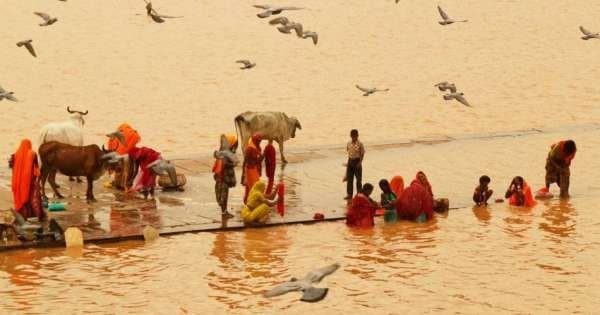 11 Day Guided Private Tour of India