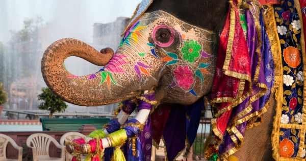 2-day Golden Triangle Private Tour of Jaipur and Agra From New Delhi