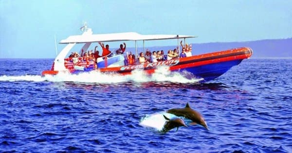 Bali Dolphin Watching Cruise, Culture & Ubud Private Tour