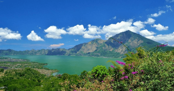 Full Day Private Tour Kintamani - Ubud - Tegenungan (Buffet Lunch in Kintamani)