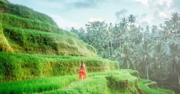 Full Day Wonder's of Bali Tour