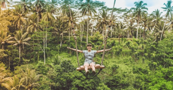 Half Day Jungle Hopper Experience in Bali