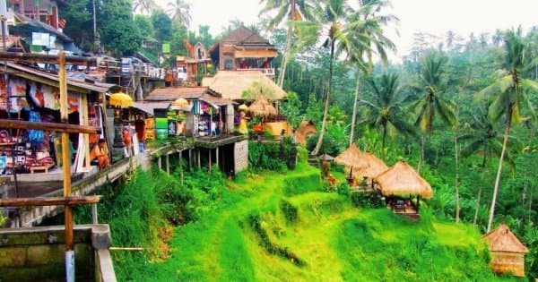 Kintamani, Ubud & Tegenungan Waterfall Private Tour