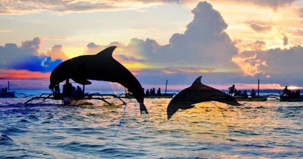 Lovina North Bali Sunrise Group Tour with Dolphins, Waterfalls & Temples