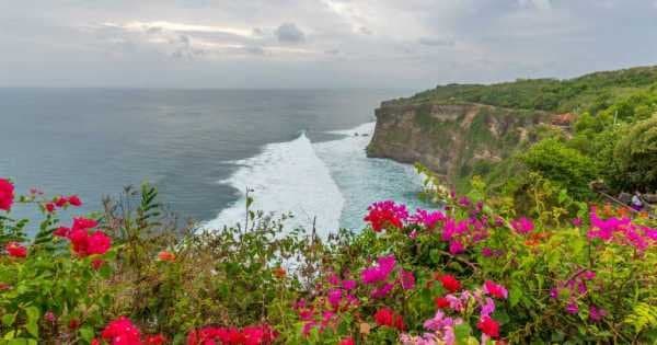 Private Half Day Tour of Bali at a Glance