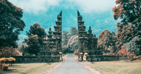 Surface of Ubud - Half Day Tour