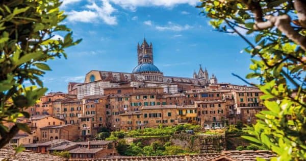 Guided Walking Tour of Siena