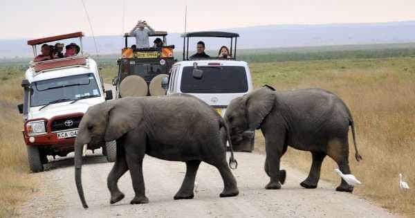 3 Day Amboseli National Park Safari