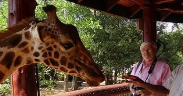 Elephant Orphanage and Giraffe Center in Nairobi