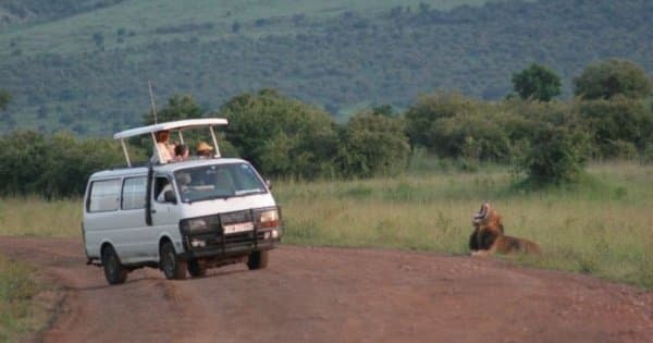 Exciting 3 Day Masai Mara Lodge Safari in Kenya