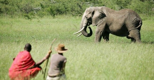 Kenya 3 Days Masai Mara Budget Camping Safari