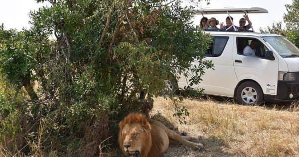 Kenya 5 Day Highlights Safari