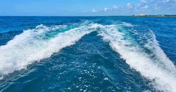 4 Hour Big Cat (68 Feet) Catamaran Tour (up to 80 people)