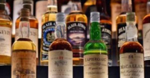 Amsterdam Fruit Cocktail Party Bar