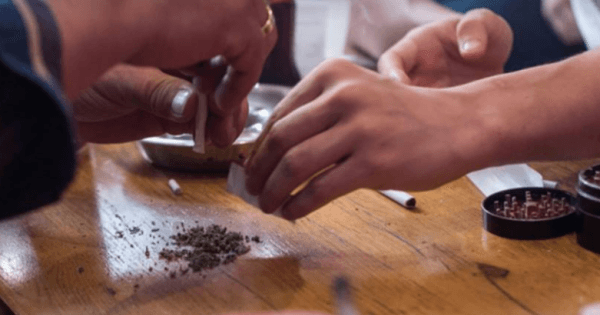 Amsterdam Private Coffeeshop Crawl
