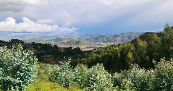 Full Day Andean Plant Teacher Tour