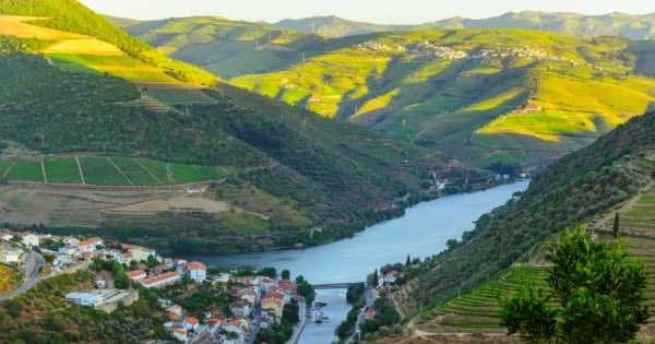 Full Day Oporto Family Vineyard Guided Tour In Portugal