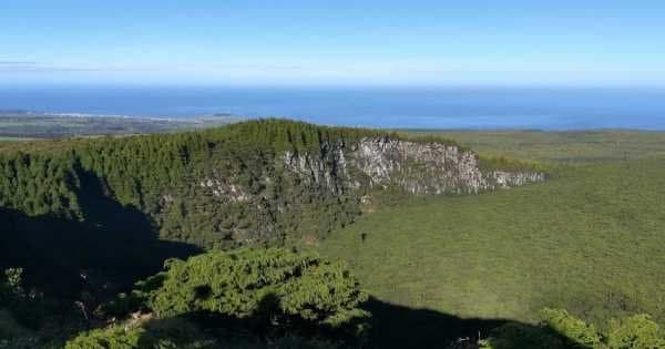 Hand in Hand with Nature Private Half Day Tour