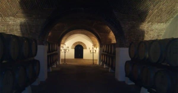 Évora Private Tour - Wine Tourism from Lisbon
