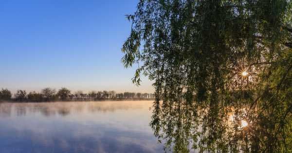 "The Delta" near Bucharest With Boat Trip