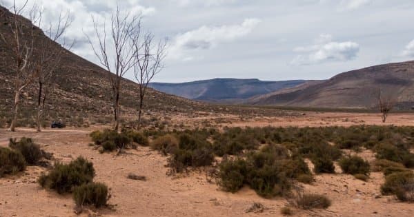 Full day tour to Aquila Private Game Reserve