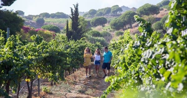 Barcelona Private Wine Tapas and Wineries Art Experience