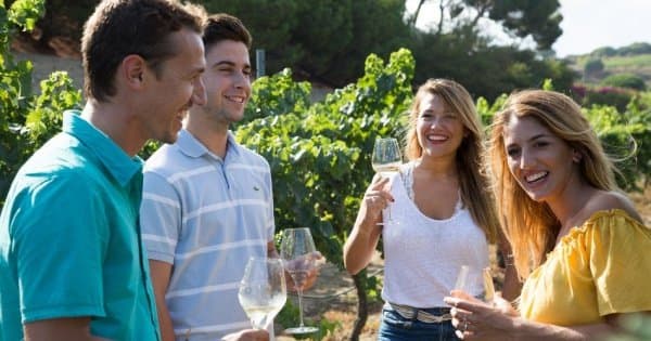 Boutique Wineries, Wine & Tapas Tour in Barcelona