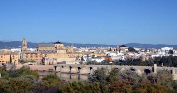 Cordoba Day Tour With a Local Expert From Seville