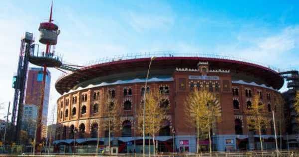 Panoramic Montjuic Private Walking Tour
