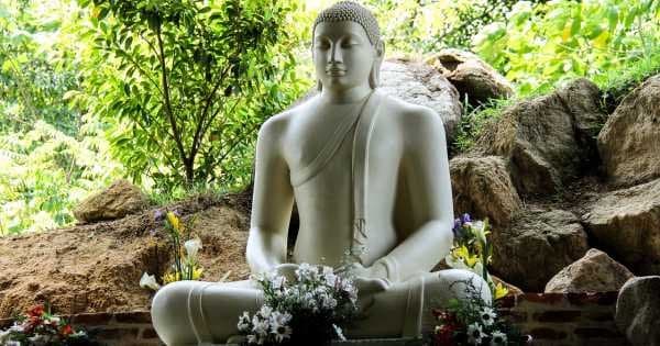 3 Day Wonder Island Tour of Sri Lanka