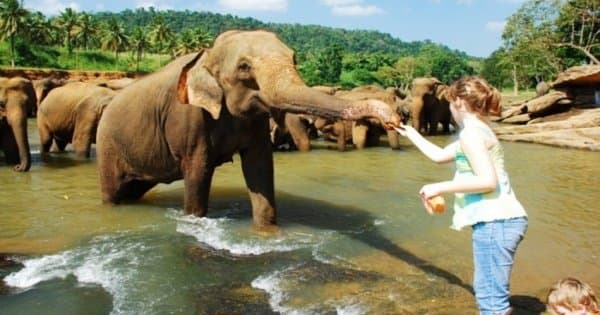 Adventure 4 Day Tour in Sri Lanka