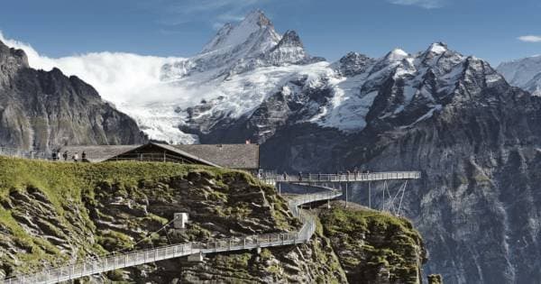 Grindelwald First - Top Adventure