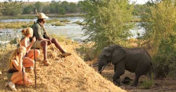 6 Days / 5 Nights in Tanzania - Culture and Sightseeing