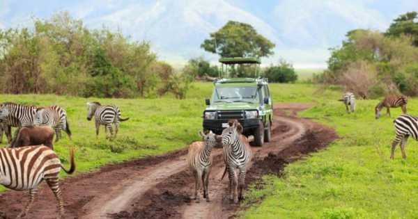 8-Days Authentic Small Group Tanzania Safari