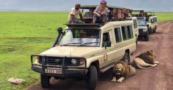 Tanzania Classic Safari Adventure
