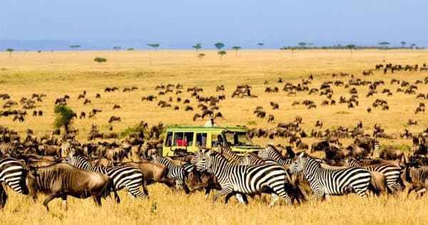6 Days Wildlife Adventure At Kidepo And Murchison Falls National Park