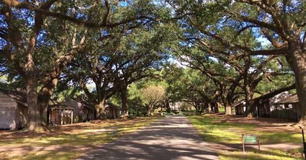 Private All Day Plantation Tour