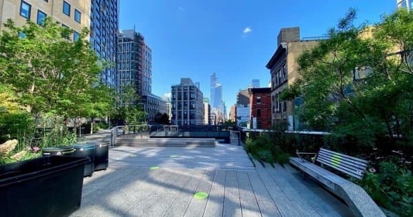 Self-Guided Private Walking Tour in High Line Elevated Park and Hudson Yards
