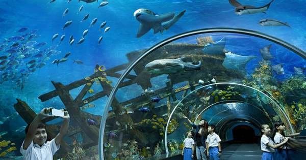 Island & Snorkeling Private Tour by Wooden Boat